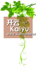 开云 - Kaiyun官方网站首页 - 竞猜官网官方入口