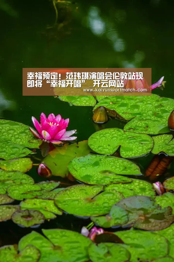 开云网站