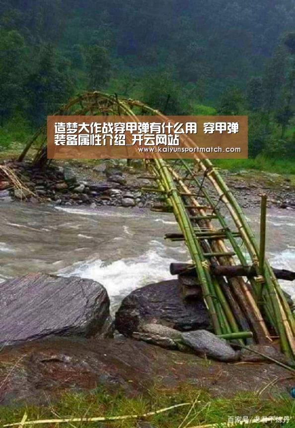 开云数据