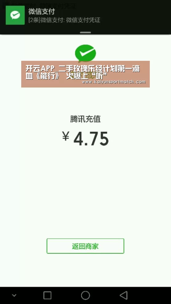 开云网站