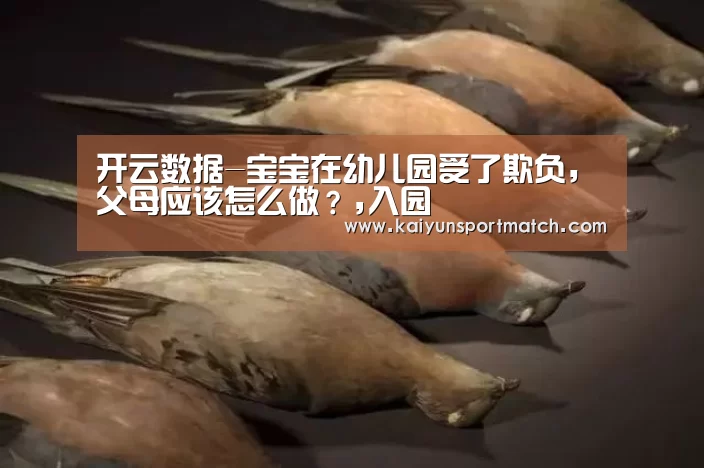 开云数据-宝宝在幼儿园受了欺负,父母应该怎么做?,入园(图1) 开云网站