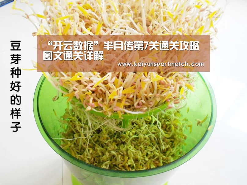 “开云数据”半月传第7关通关攻略 图文通关详解(图1) 开云赛事